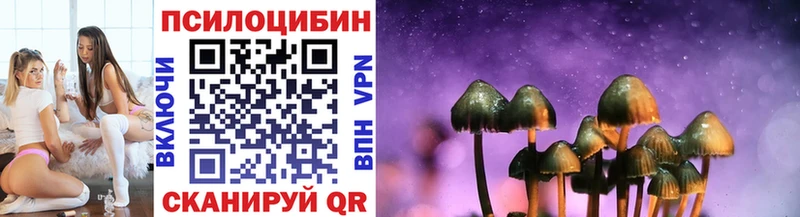 omg сайт даркнет сайт Могоча Псилоцибиновые грибы ЛСД