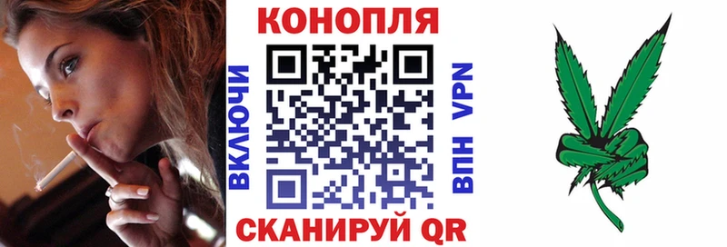 МАРИХУАНА сатива Могоча